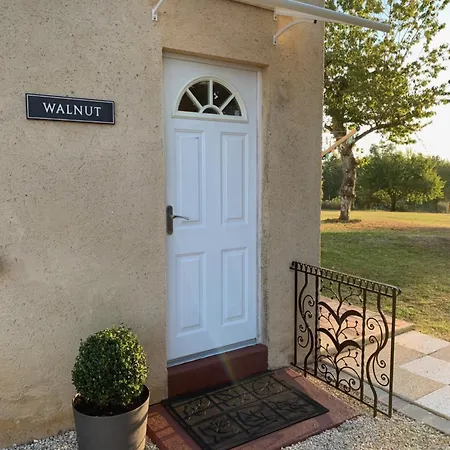 Walnut And Chestnut * Mauzens-et-Miremont