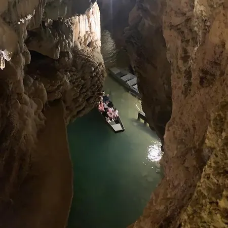 Walnut And Chestnut Mauzens-et-Miremont