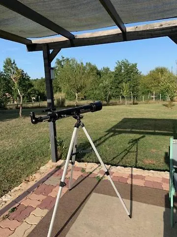 Appartement Walnut And Chestnut