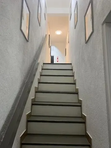 Walnut And Chestnut *