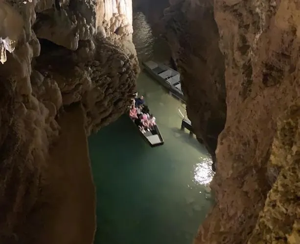 Walnut And Chestnut Mauzens-et-Miremont